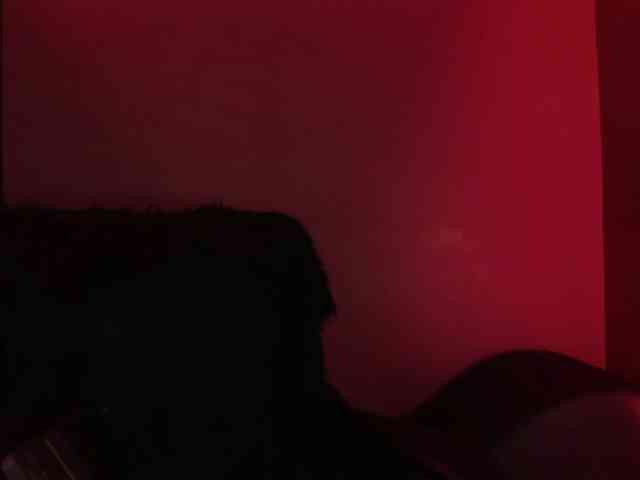 zoe-roux21 webcam