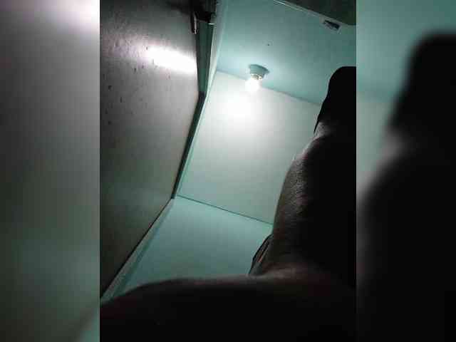 Alisa-TOP webcam