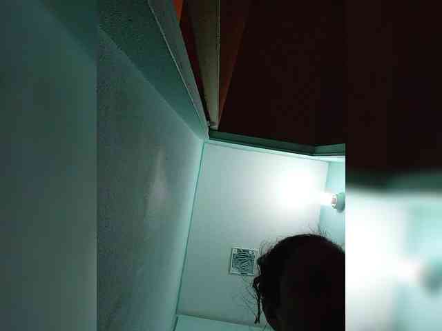 Alisa-TOP webcam