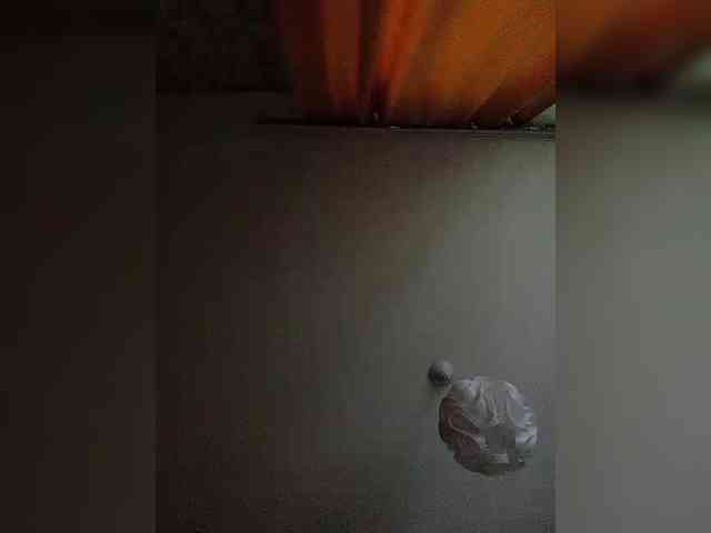 Alisa-TOP webcam