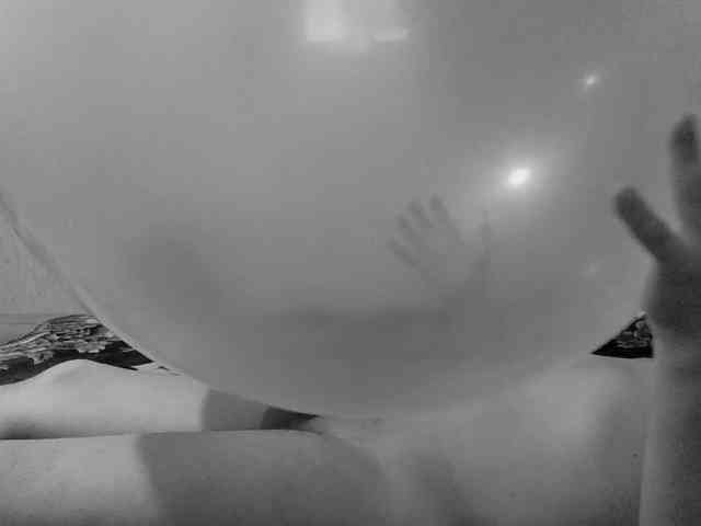 Loonerpony Loonerpony