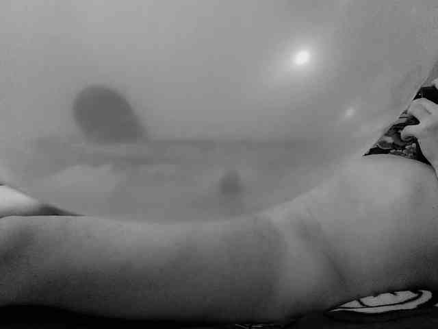 Loonerpony Loonerpony