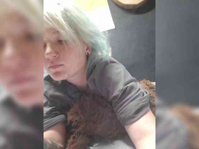 Lisse webcam