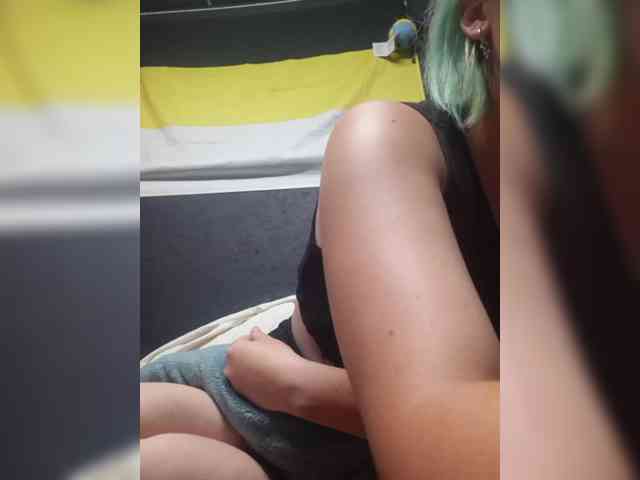 Lisse webcam