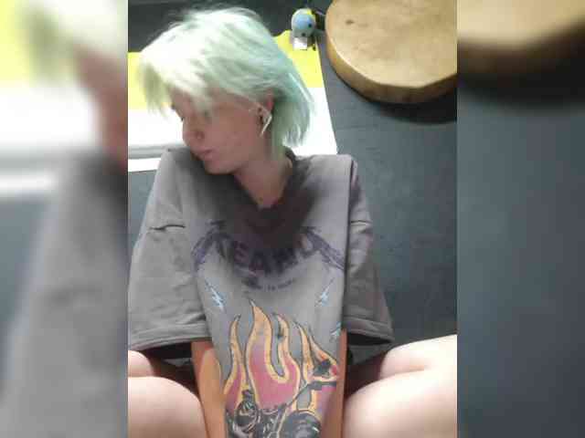Lisse webcam