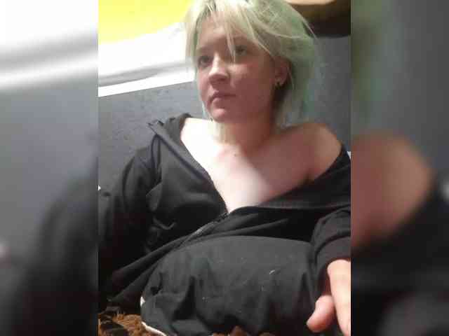 Lisse webcam