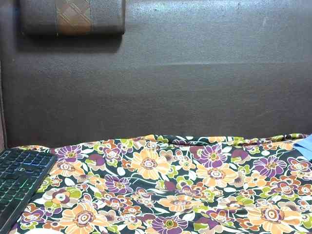 Lutricia webcam