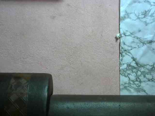 Lutricia webcam