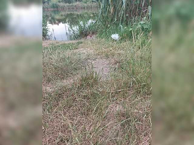 RosFair live cam