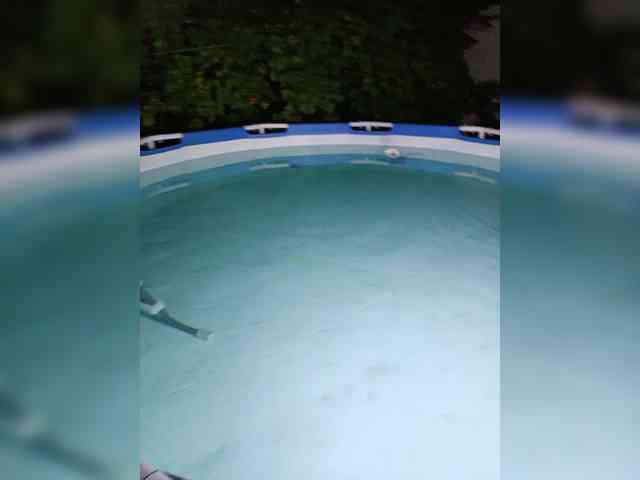 cam sex live RosFair