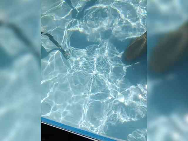 RosFair webcam