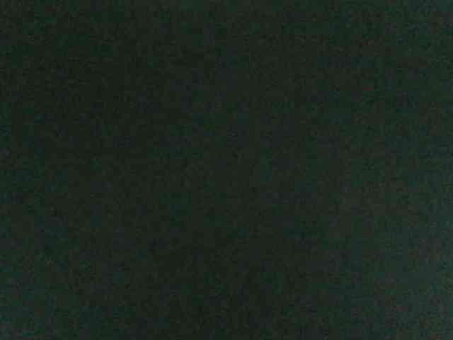 RosFair webcam