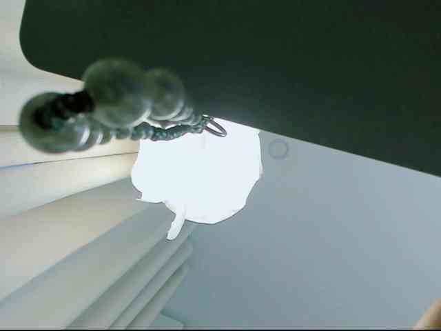 CuteCatxxx CuteCatxxx