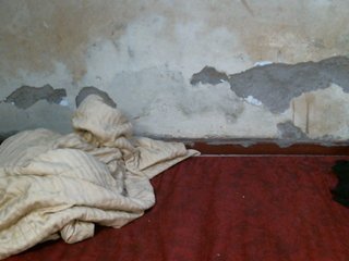 LOVELY-JAZMINE Porn Show