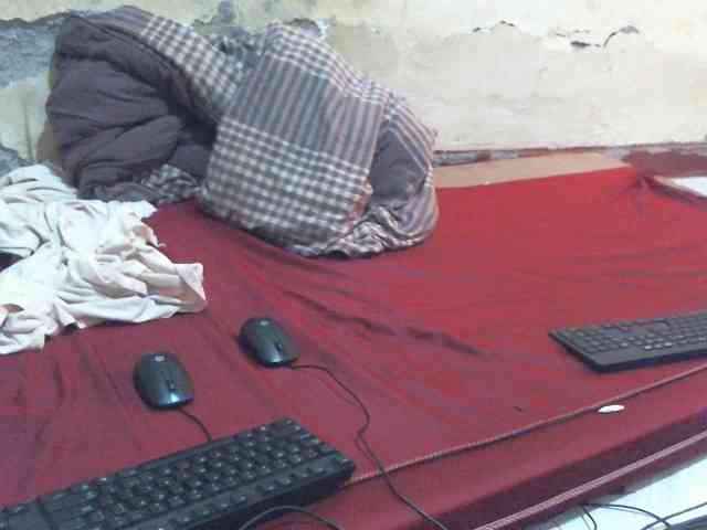 LOVELY-JAZMINE webcam