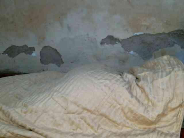 LOVELY-JAZMINE webcam