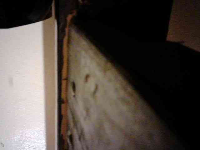 LOVELY-JAZMINE webcam