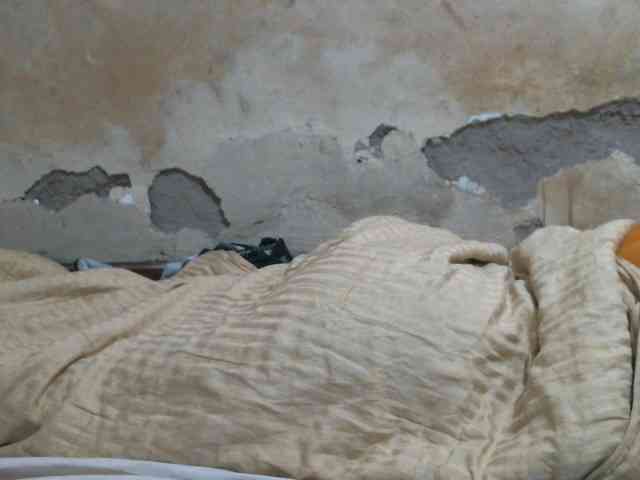 LOVELY-JAZMINE LOVELY-JAZMINE