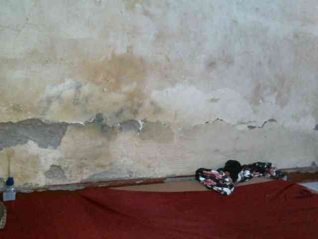 LOVELY-JAZMINE webcam