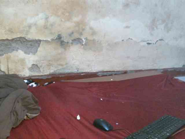 LOVELY-JAZMINE webcam