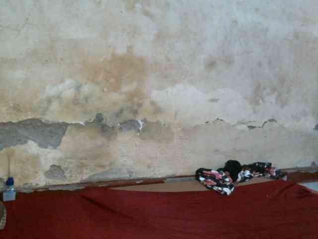 LOVELY-JAZMINE webcam