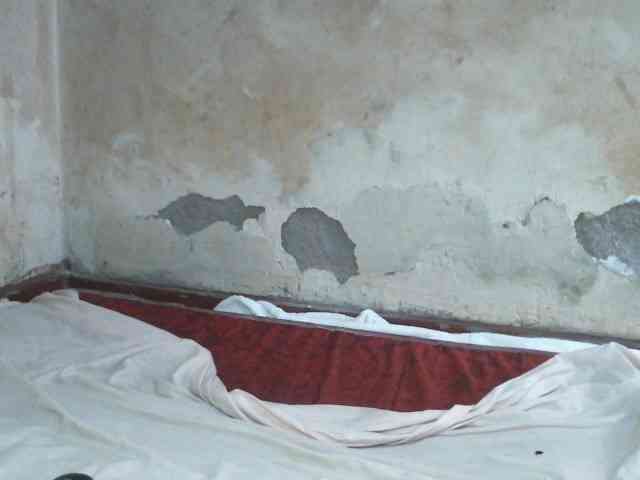 LOVELY-JAZMINE LOVELY-JAZMINE