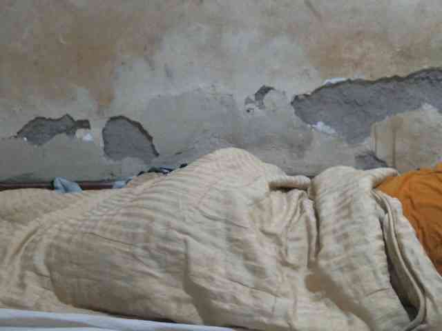 LOVELY-JAZMINE LOVELY-JAZMINE