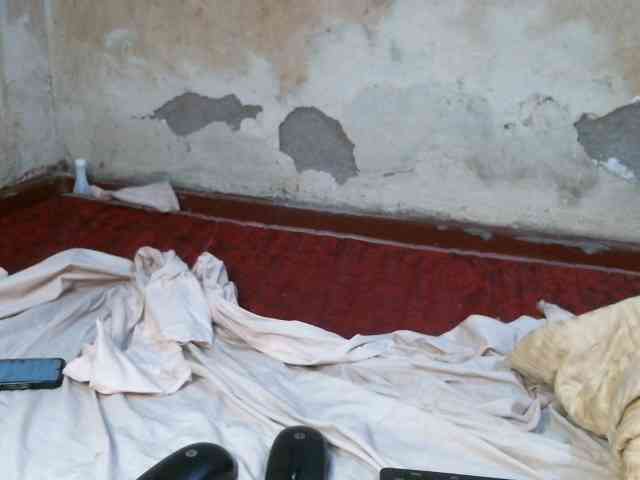 LOVELY-JAZMINE LOVELY-JAZMINE