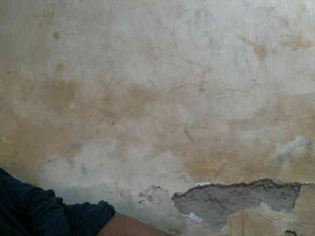 LOVELY-JAZMINE LOVELY-JAZMINE