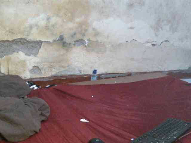 LOVELY-JAZMINE webcam