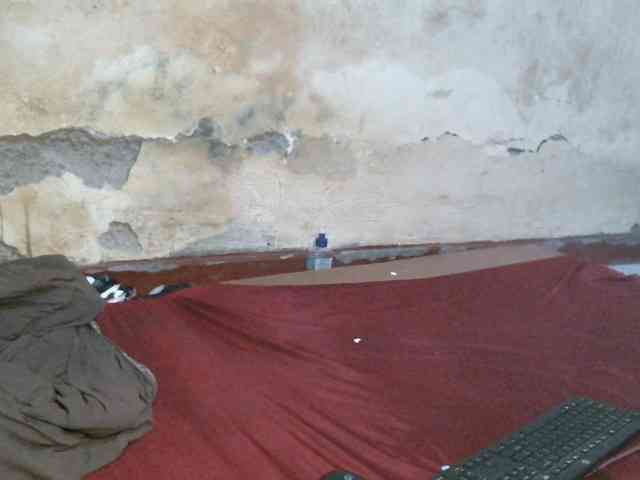 LOVELY-JAZMINE webcam