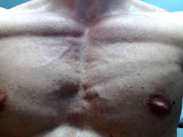 flexhard1