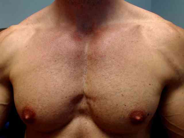 flexhard1