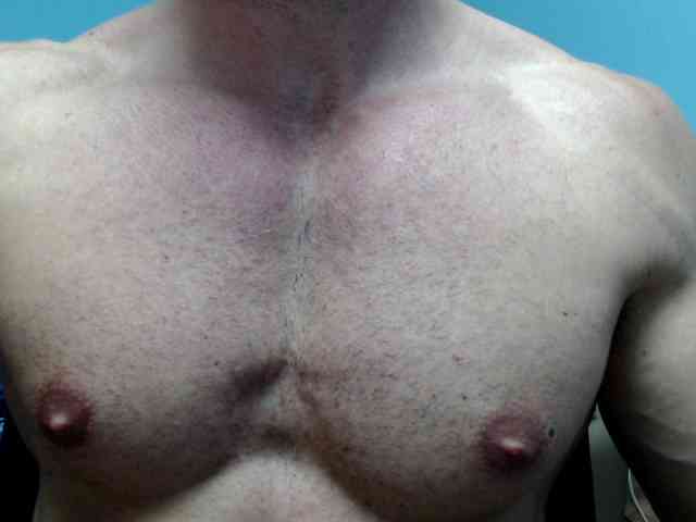 flexhard1