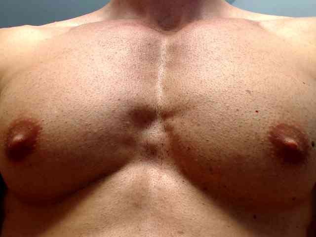 flexhard1