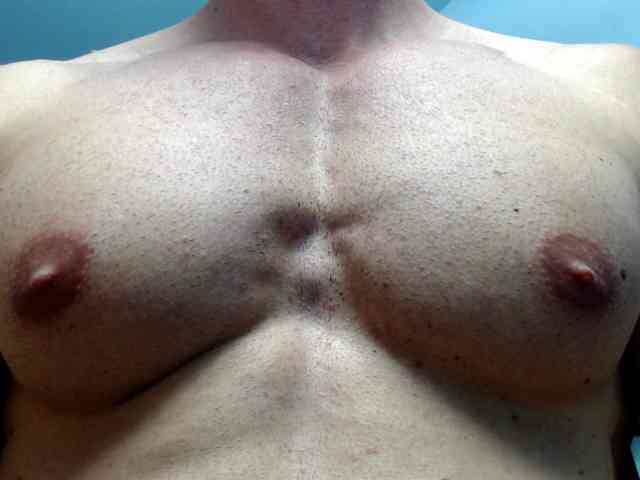 flexhard1