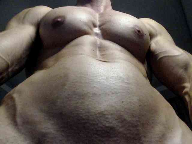 flexhard1