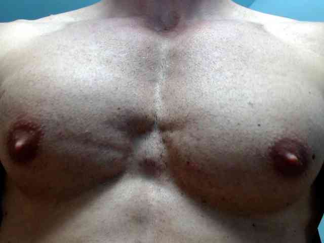 flexhard1