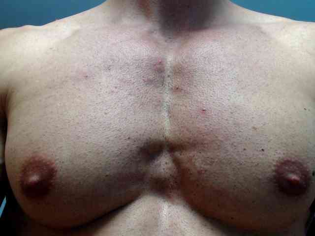 flexhard1
