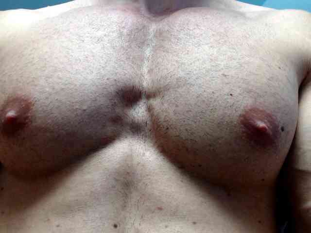 flexhard1