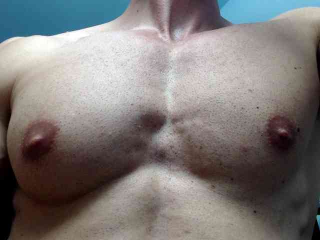 flexhard1