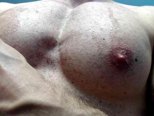 flexhard1