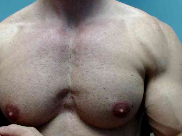 flexhard1