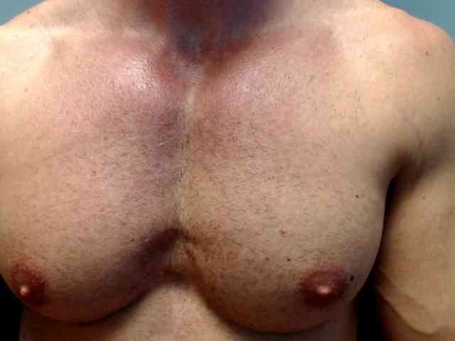 flexhard1
