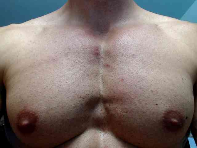 flexhard1