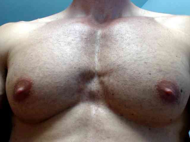 flexhard1