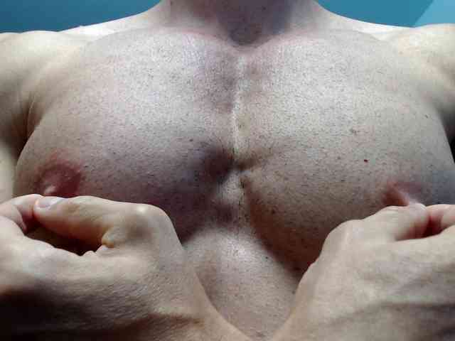 flexhard1