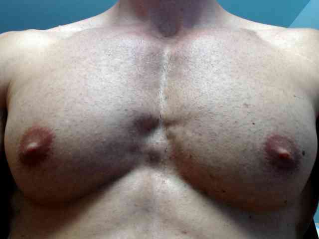 flexhard1 flexhard1
