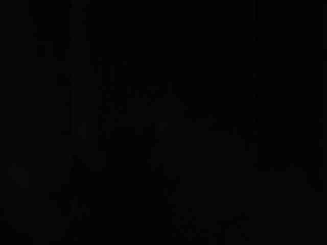 On-Ona webcam