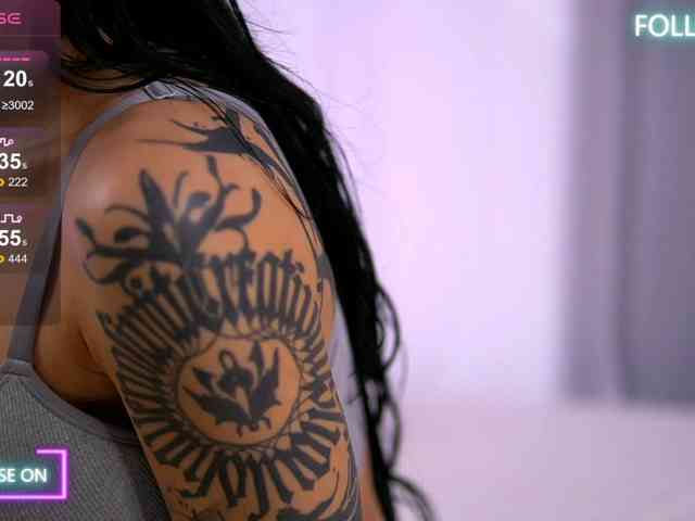 FeverDreamX webcam